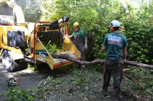 tree services Fort Branch